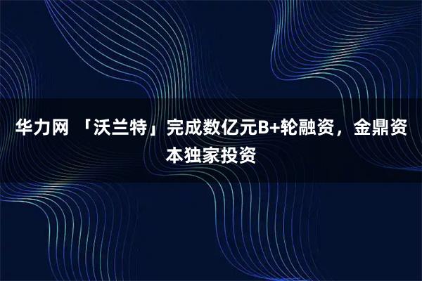 华力网 「沃兰特」完成数亿元B+轮融资，金鼎资本独家投资