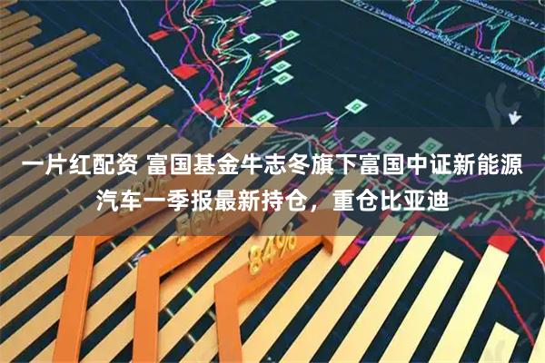 一片红配资 富国基金牛志冬旗下富国中证新能源汽车一季报最新持仓，重仓比亚迪
