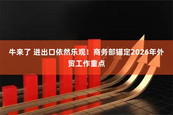 牛来了 进出口依然乐观！商务部锚定2026年外贸工作重点