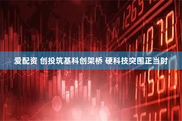 爱配资 创投筑基科创架桥 硬科技突围正当时
